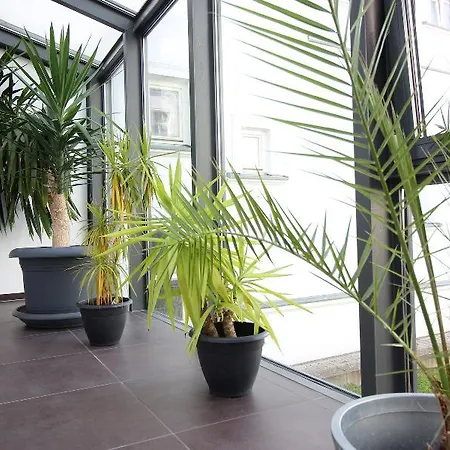 호텔 Am Theater 3*